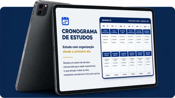 Cronograma de estudos de 80 dias para o concurso TRT 8