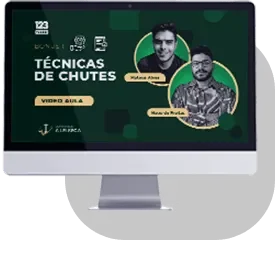 Bônus 3: técnicas de chute